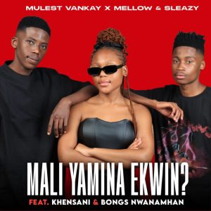 Mulest Vankay, Mellow e Sleazy, Khensani, Bongs Nwana Mhan – Mali Yamina Ekwin_ (feat. Khensani e Bongs Nwana Mhan)