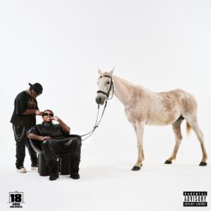 Focalistic, Mellow e Sleazy, Enny Man Da Guitar – Telenovela (feat. Reece Madlisa)