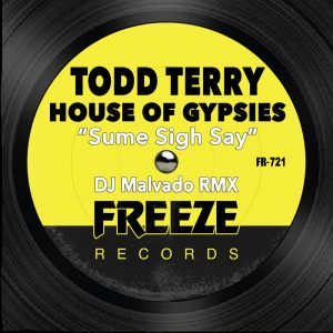 Todd Terry e House Of Gypsies – Sume Sigh Say (DJ Malvado Remix)