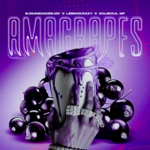 SjavasDaDeejay, LeeMcKrazy e XoliSoulMF – Amagrapes